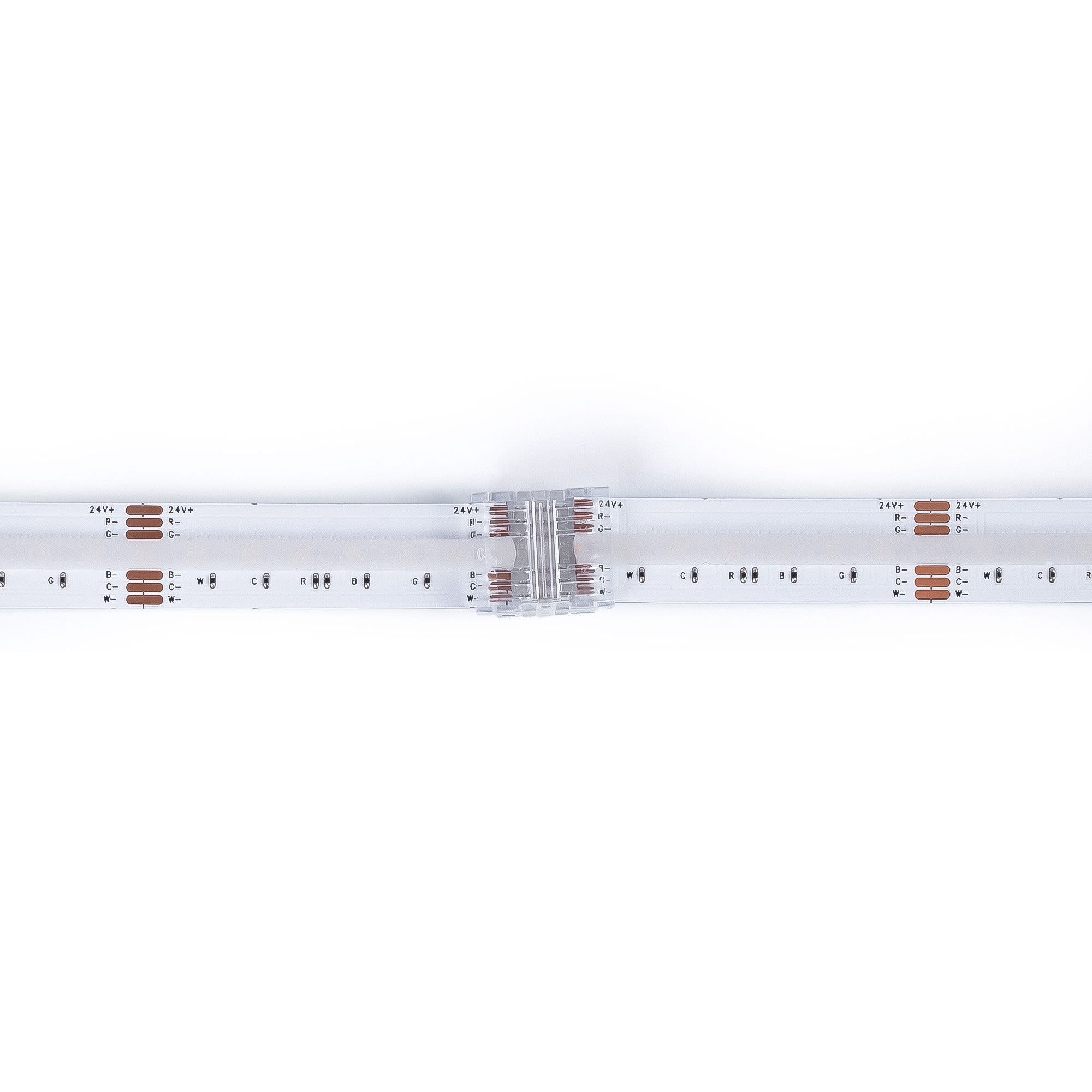 Conector Hippo RGB + CCT COB Tira a Tira - PCB 12mm - 6 pines - IP20 - Máx. 24V (1)