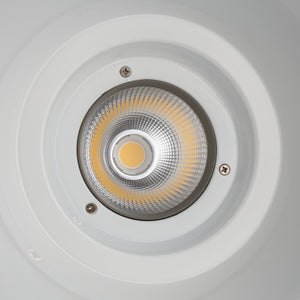 Campana LED 36W especial para verdulerías - Driver KeGu (2)