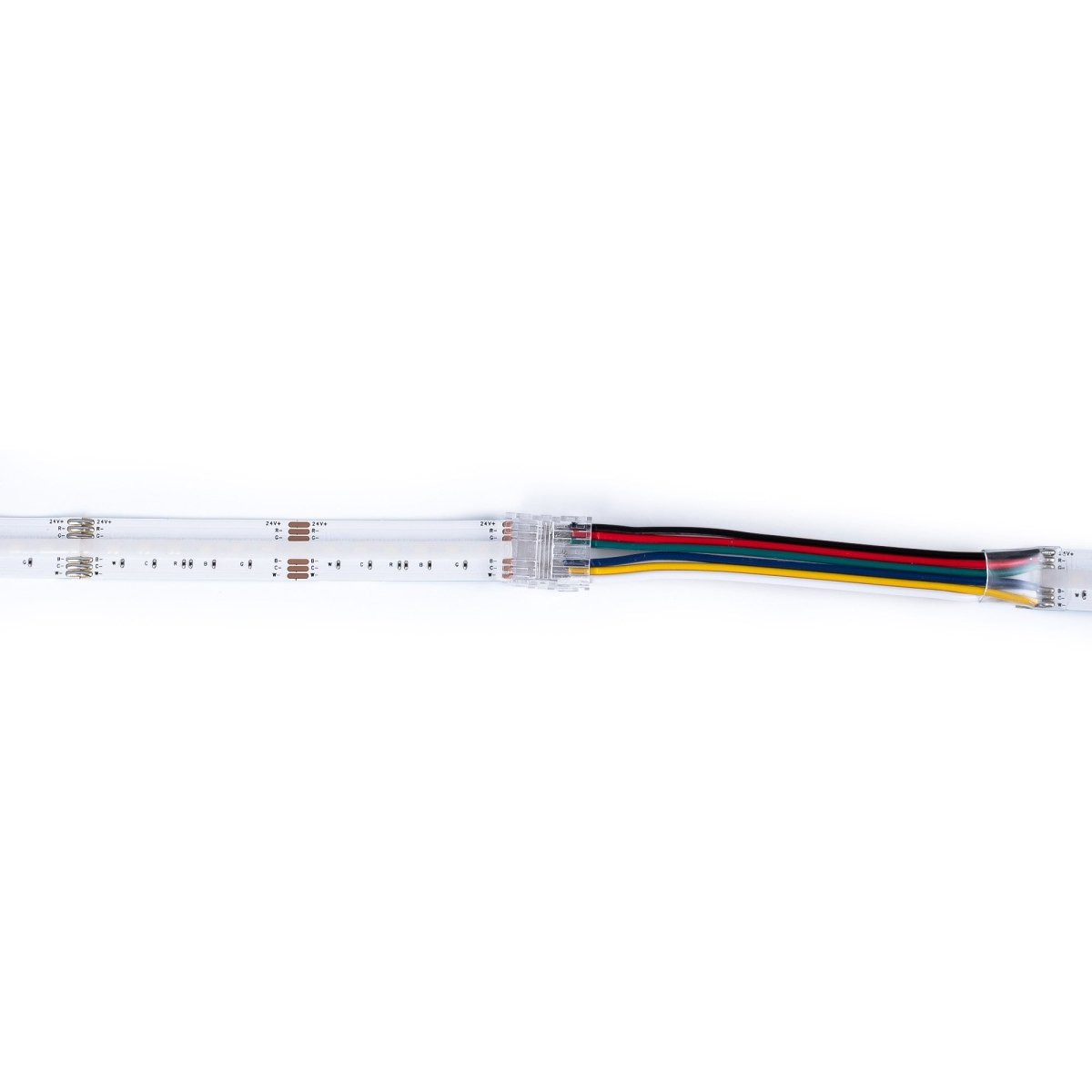 Conector Hippo RGB + CCT COB Tira a Cable - PCB 12mm - 6 pines - IP20 - Máx. 24V - Barcelona Led-Accesorios