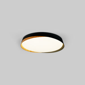 Lámpara de techo LED tipo plafón CCT 24W - Efecto madera - ø40cm - IP22 (14)