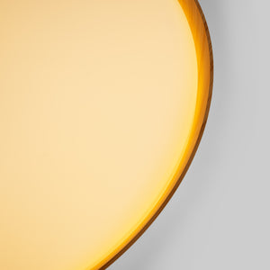 Lámpara de techo LED tipo plafón CCT 36W - Efecto madera - ø50cm - IP22 (10)