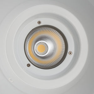 Campana LED 36W especial para carnicerías - Driver KeGu - Barcelona Led-