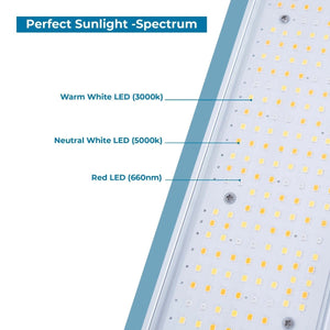 Luminaria LED de cultivo interior - 250W - Regulable 0-10V - Grow light Full Spectrum (18)