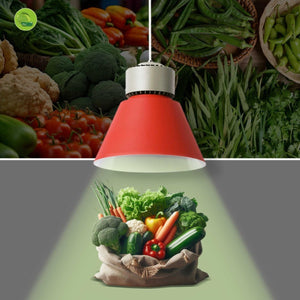 Campana LED 36W especial para verdulerías - Driver KeGu - Barcelona Led-