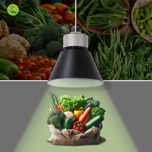 Campana LED 36W especial para verdulerías - Driver KeGu - Barcelona Led-