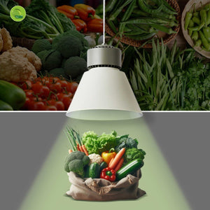 Campana LED 36W especial para verdulerías - Driver KeGu - Barcelona Led-