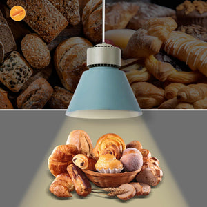 Campana LED 36W especial para panaderías - Driver KeGu (31)
