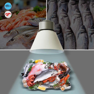 Campana LED 36W especial para pescados y mariscos - Driver KeGu - Barcelona Led-