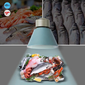 Campana LED 36W especial para pescados y mariscos - Driver KeGu - Barcelona Led-