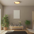 CCT LED 24W Ceiling light - Wood Effect - Ø45cm 3