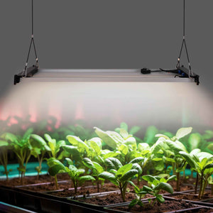 Luminaria LED de cultivo interior - 250W - Regulable 0-10V - Grow light Full Spectrum (1)
