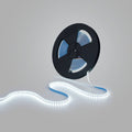 Ruban LED 48V DC - RGB + CCT - 15W/m - 12mm - IP20 - 20 mètres - 90ch/m 5