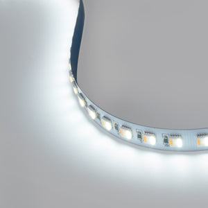 Tira LED 48V DC - RGB + CCT - 15W/m - 12mm - IP20 - 20 metros - 90ch/m (16)