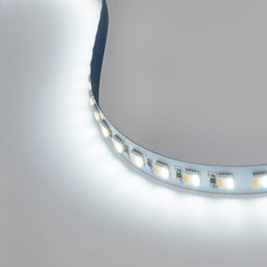 Tira LED 48V DC - RGB + CCT - 15W/m - 12mm - IP20 - 20 metros - 90ch/m (16)