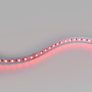 Tira LED 48V DC - RGB + CCT - 15W/m - 12mm - IP20 - 10 metros - 90ch/m (7)
