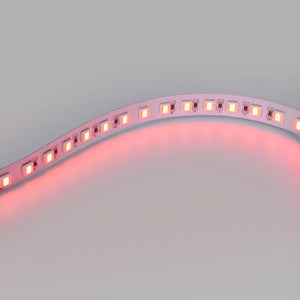 Tira LED 48V DC - RGB + CCT - 15W/m - 12mm - IP20 - 10 metros - 90ch/m - Barcelona Led-