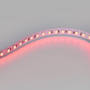 Tira LED 48V DC - RGB + CCT - 15W/m - 12mm - IP20 - 10 metros - 90ch/m (8)