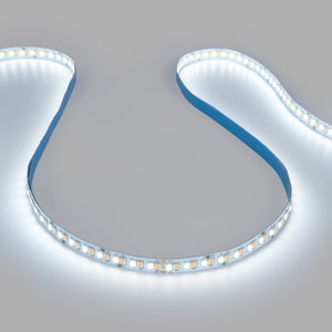 Tira LED 48V DC - CCT (1800-6500K) - 12W/m - 10mm - IP20 - 20 metros - 224ch/m (15)