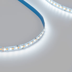 Tira LED 48V DC - CCT (1800-6500K) - 12W/m - 10mm - IP20 - 20 metros - 224ch/m (16)