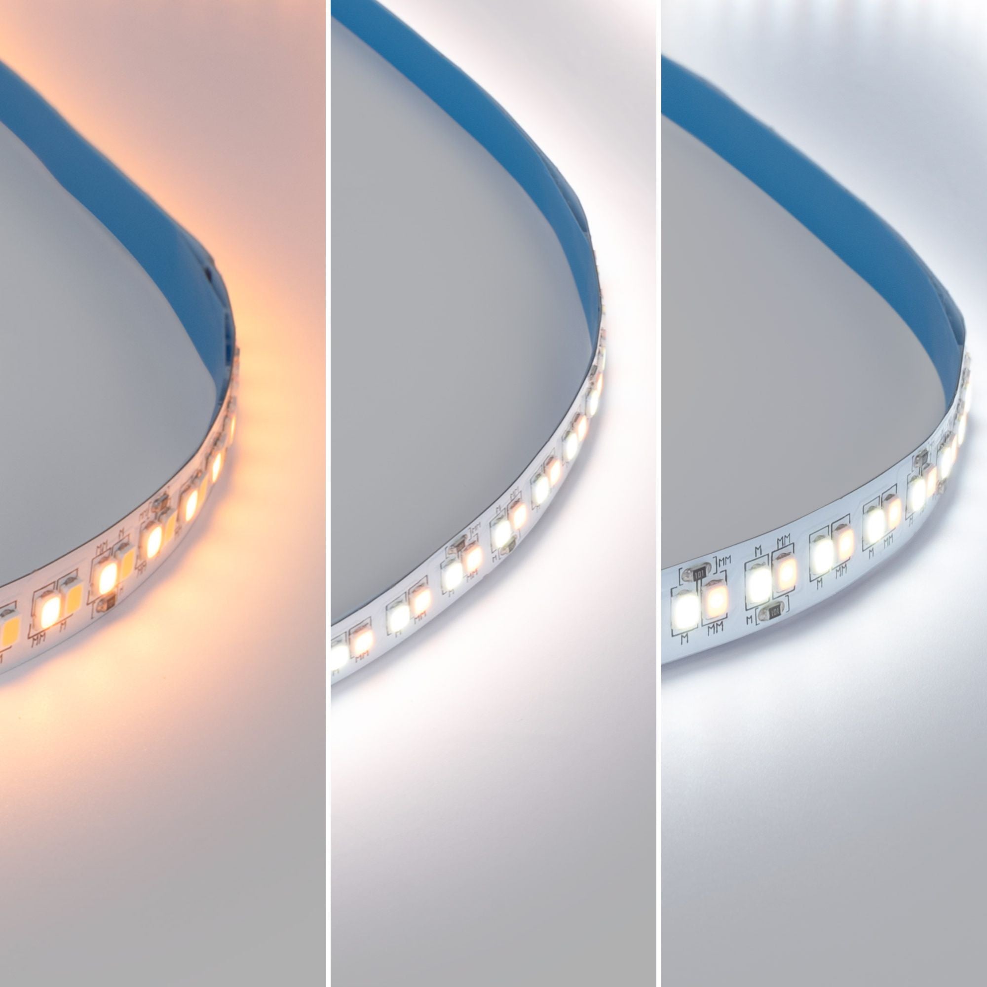 Tira LED 48V DC - CCT (1800-6500K) - 12W/m - 10mm - IP20 - 20 metros - 224ch/m (1)