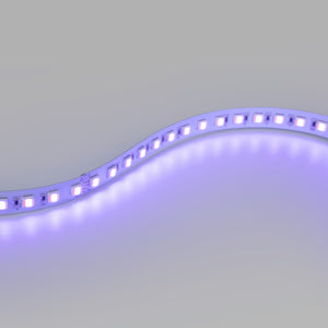 Tira LED 48V DC - RGB + CCT - 15W/m - 12mm - IP20 - 10 metros - 90ch/m (12)