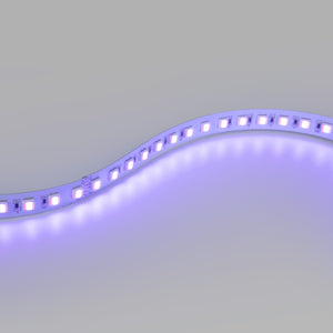 Tira LED 48V DC - RGB + CCT - 15W/m - 12mm - IP20 - 10 metros - 90ch/m (12)