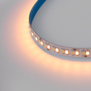 Tira LED 48V DC - CCT (1800-6500K)- 12W/m - 10mm - IP20 - 10 metros - 224ch/m (10)