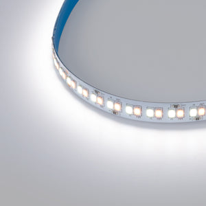 Tira LED 48V DC - CCT (1800-6500K)- 12W/m - 10mm - IP20 - 10 metros - 224ch/m (16)