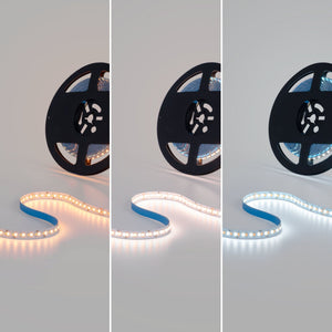 Tira LED 48V DC - CCT (1800-6500K)- 12W/m - 10mm - IP20 - 10 metros - 224ch/m (21)