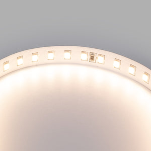 Tira LED 48V DC - Monocolor - 12W/m - 10mm - IP20 - 10 metros - 120ch/m (3)