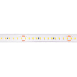 Tira LED 48V DC sumergible - Monocolor - 9.6W/m - 12mm - IP68 - 20 metros - 168ch/m (11)