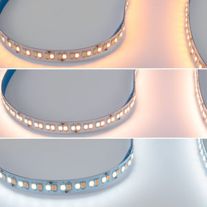 Tira LED 48V DC - RGB + CCT - 15W/m - 12mm - IP20 - 10 metros - 90ch/m (18)