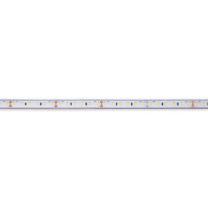Tira LED 24V DC sumergible - Monocolor - 9.6W/m - 10mm - IP68 - 5 metros - 120ch/m (12)