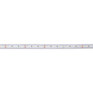 Tira LED 24V DC sumergible - Monocolor - 9.6W/m - 10mm - IP68 - 5 metros - 120ch/m - Barcelona Led-