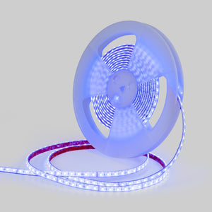 Tira LED 24V DC sumergible - RGBW - 14.4W/m - 12mm - IP68 - 10 metros - 60ch/m (10)