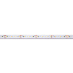 Tira LED 24V DC sumergible - Monocolor - 9.6W/m - 12mm - IP68 - 10 metros - 120ch/m - Barcelona Led-