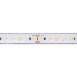 Tira LED 24V DC sumergible - Monocolor - 9.6W/m - 12mm - IP68 - 10 metros - 120ch/m (15)