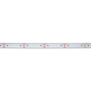 Tira LED 24V DC sumergible - Monocolor - 9.6W/m - 12mm - IP68 - 10 metros - 120ch/m - Barcelona Led-