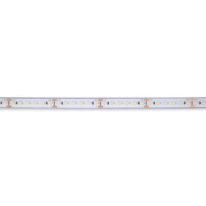 Tira LED 24V DC sumergible - Monocolor - 9.6W/m - 12mm - IP68 - 10 metros - 120ch/m - Barcelona Led-