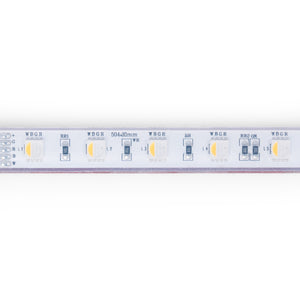 Tira LED 24V DC sumergible - RGBW - 14.4W/m - 12mm - IP68 - 10 metros - 60ch/m (13)