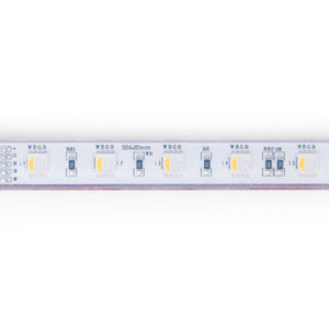 Tira LED 24V DC sumergible - RGBW - 14.4W/m - 12mm - IP68 - 10 metros - 60ch/m (13)