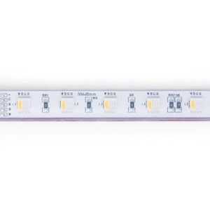 Tira LED 24V DC sumergible - RGBW - 14.4W/m - 12mm - IP68 - 10 metros - 60ch/m - Barcelona Led-