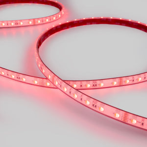 Tira LED 24V DC sumergible - RGBW - 14.4W/m - 12mm - IP68 - 10 metros - 60ch/m (16)