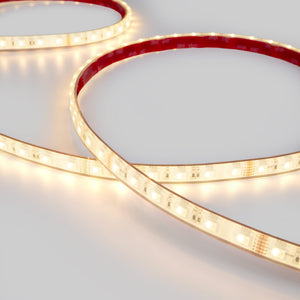 Tira LED 24V DC sumergible - RGBW - 14.4W/m - 12mm - IP68 - 10 metros - 60ch/m (17)
