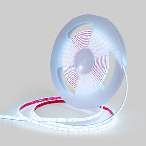 Tira LED 24V DC sumergible - RGBW - 14.4W/m - 12mm - IP68 - 10 metros - 60ch/m - Barcelona Led-
