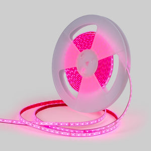 Tira LED 24V DC sumergible - RGBW - 14.4W/m - 12mm - IP68 - 10 metros - 60ch/m (20)