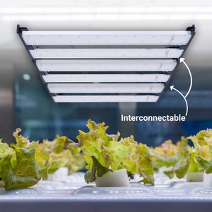 Cable de unión para luminarias de cultivo G400-250W - Barcelona Led-