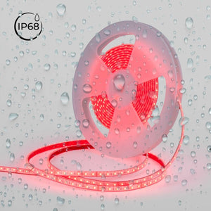 Tira LED 24V DC sumergible - RGBW - 14.4W/m - 12mm - IP68 - 10 metros - 60ch/m (23)