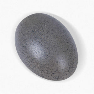 Aplique de pared cemento "Semba" - 3 colores - 1 x G9 (15)