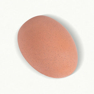 Aplique de pared cemento "Semba" - 3 colores - 1 x G9 (28)